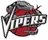 Rio Grande Valley Vipers