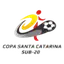 Copa Santa Catarina