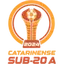 Catarinense U20
