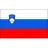 Slovenia U19