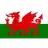 Wales U19