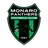 Monaro Panthers