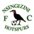 Nsingizini Hotspurs