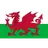Wales U16 W