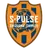 Shimizu S-pulse