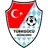 Türkgücü-Ataspor